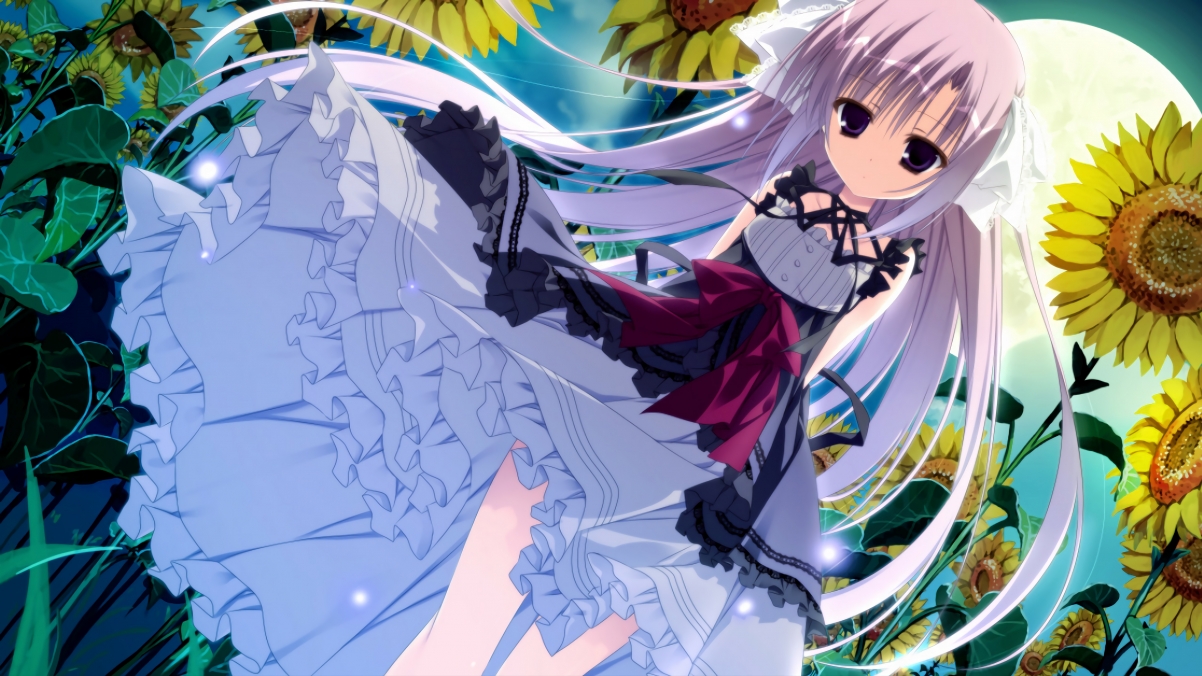 比利时险胜荷兰，托尼在季后赛抢七接管比赛，跨越运动的决胜时刻，书写同一种英雄叙事