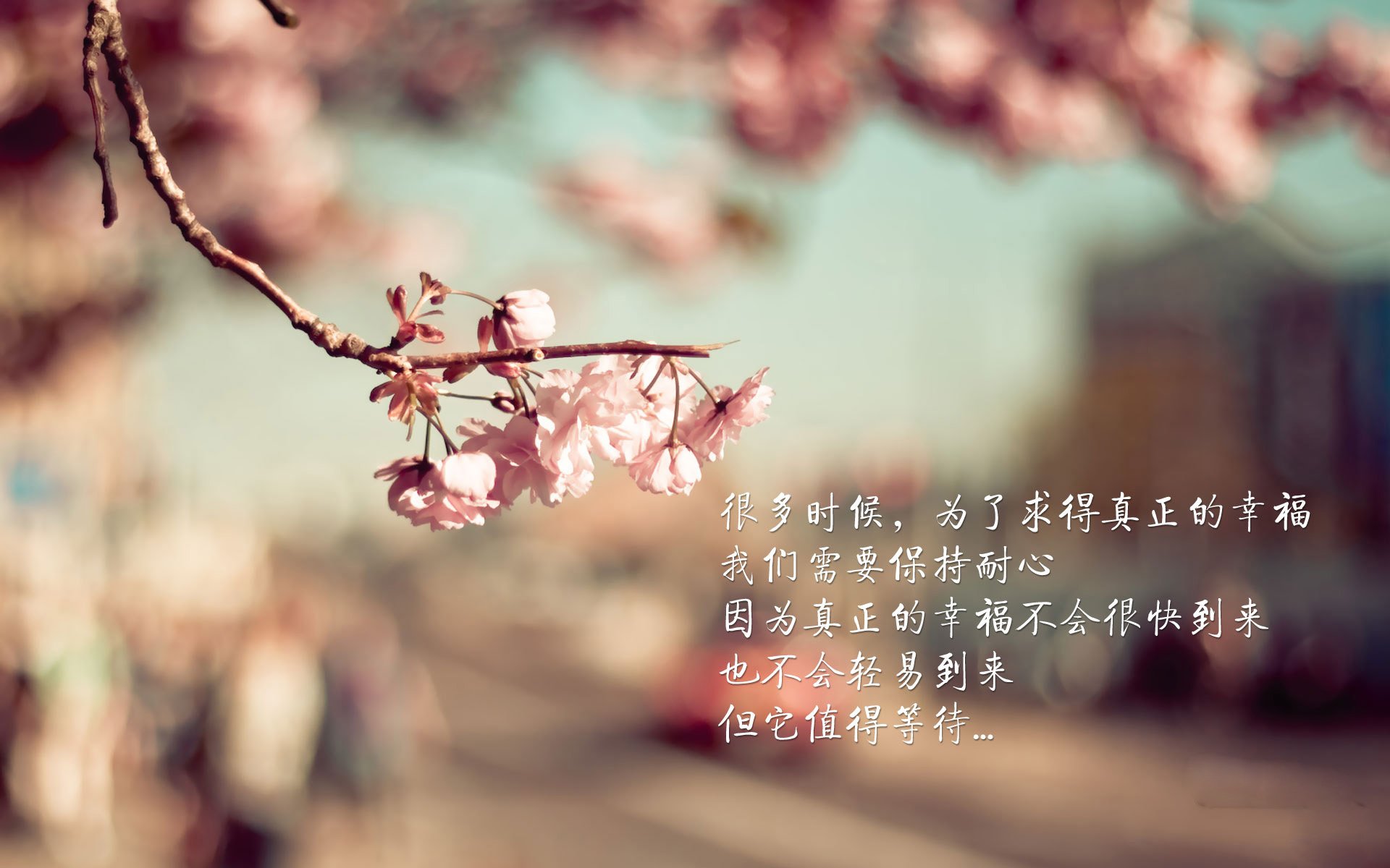 新狼王诞生记，杰伦·格林关键战不手软，雷霆万钧斩落森林狼