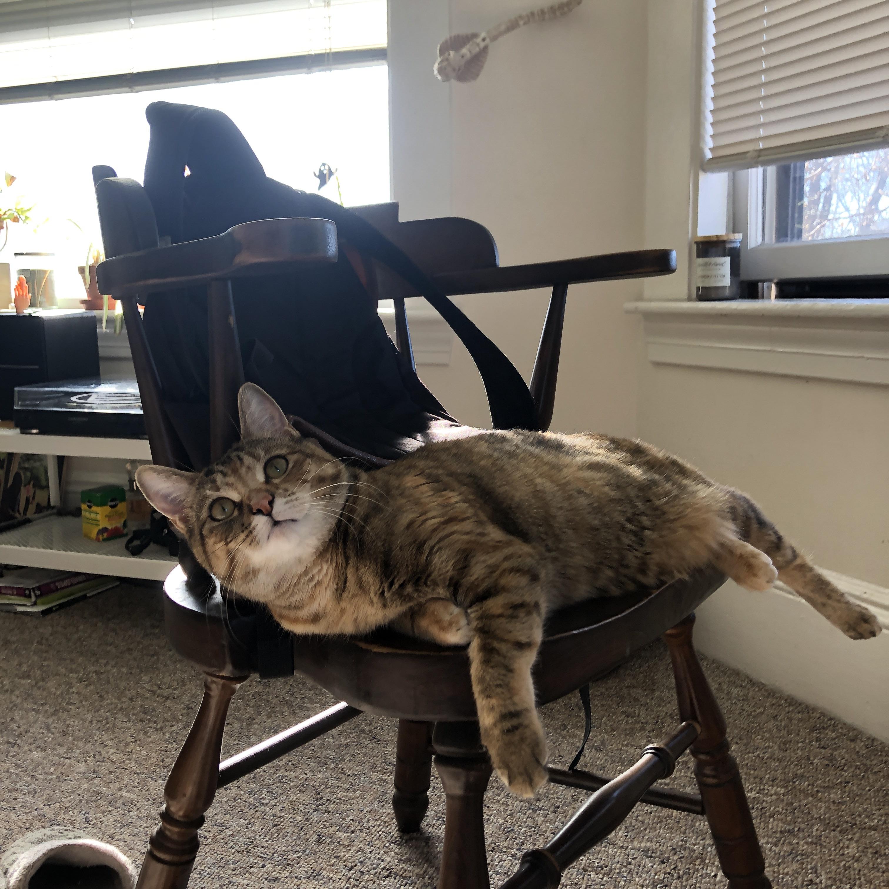 当魔术的青春风暴遭遇国王，库里已在奥运频道切换死神模式