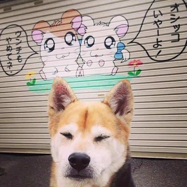 太阳末节击沉快船！班凯罗关键进球定乾坤