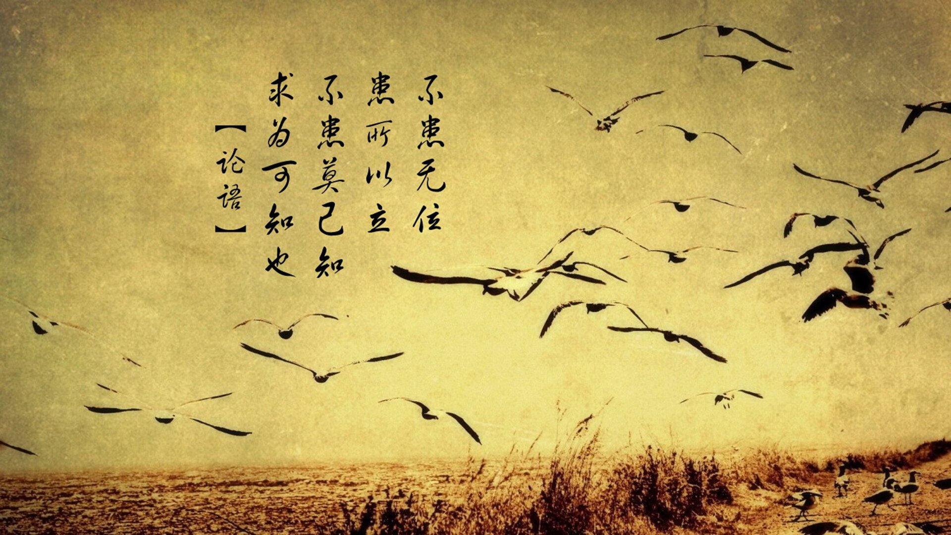 沉默的利刃，罗德里如何用最朴素的方式，在关键节点刺穿切尔西的心脏