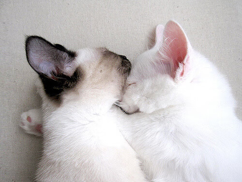 阿坎吉一夫当关！拉齐奥爆冷擒皇马，现代中卫接管比赛的时代已来临？