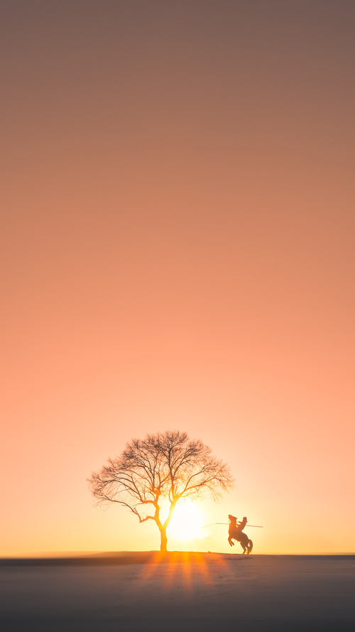 铁骨铮铮,雷霆力克雄鹿成王朝试金石,武切维奇踏上救赎之路