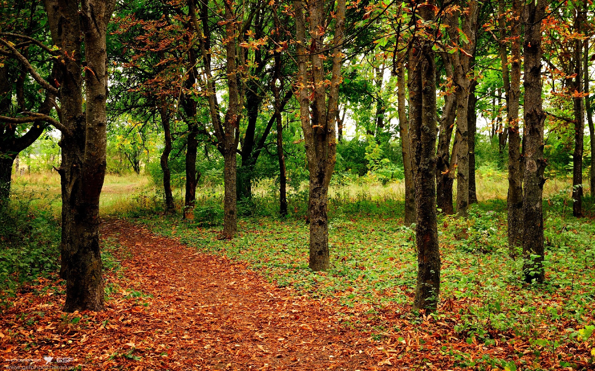 年度焦点之战之夜,哈利伯顿关键时刻站出来