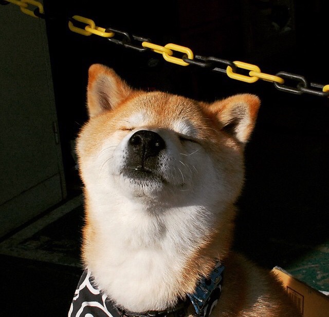 勒布朗的凝视，当NBA巨星成为英超争冠之夜的云端裁判