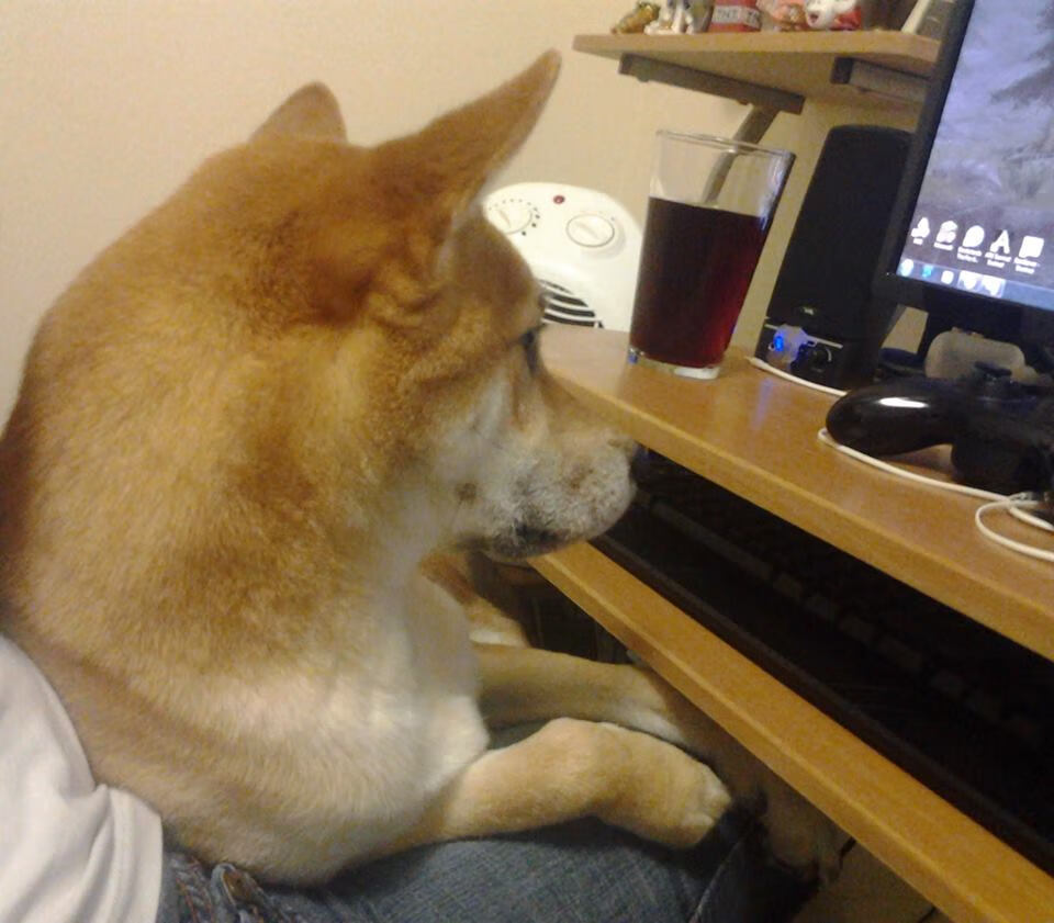 黑白直播-节奏与冠冕,当吉林队的智慧遇见乔治的雷霆一击