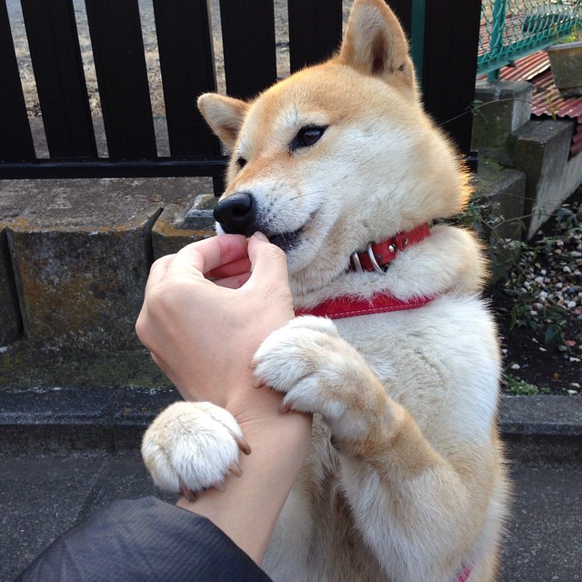 黑白直播网-德甲争冠焦点战引爆欧洲足坛,西班牙强势晋级与马德里竞技的辉煌征程