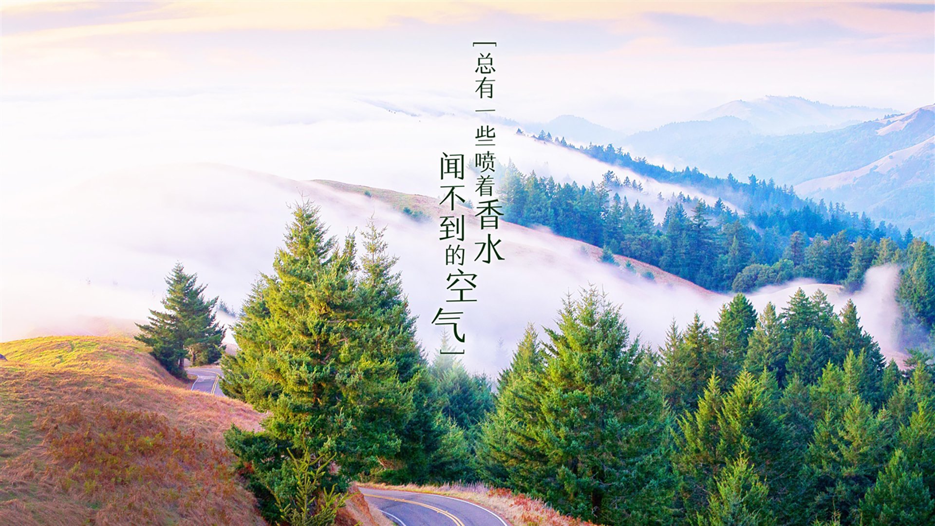 黑白直播在线观看-魔笛未老,新锋正锐,克罗地亚如何在2026世界杯A组焦点战中压制巴西