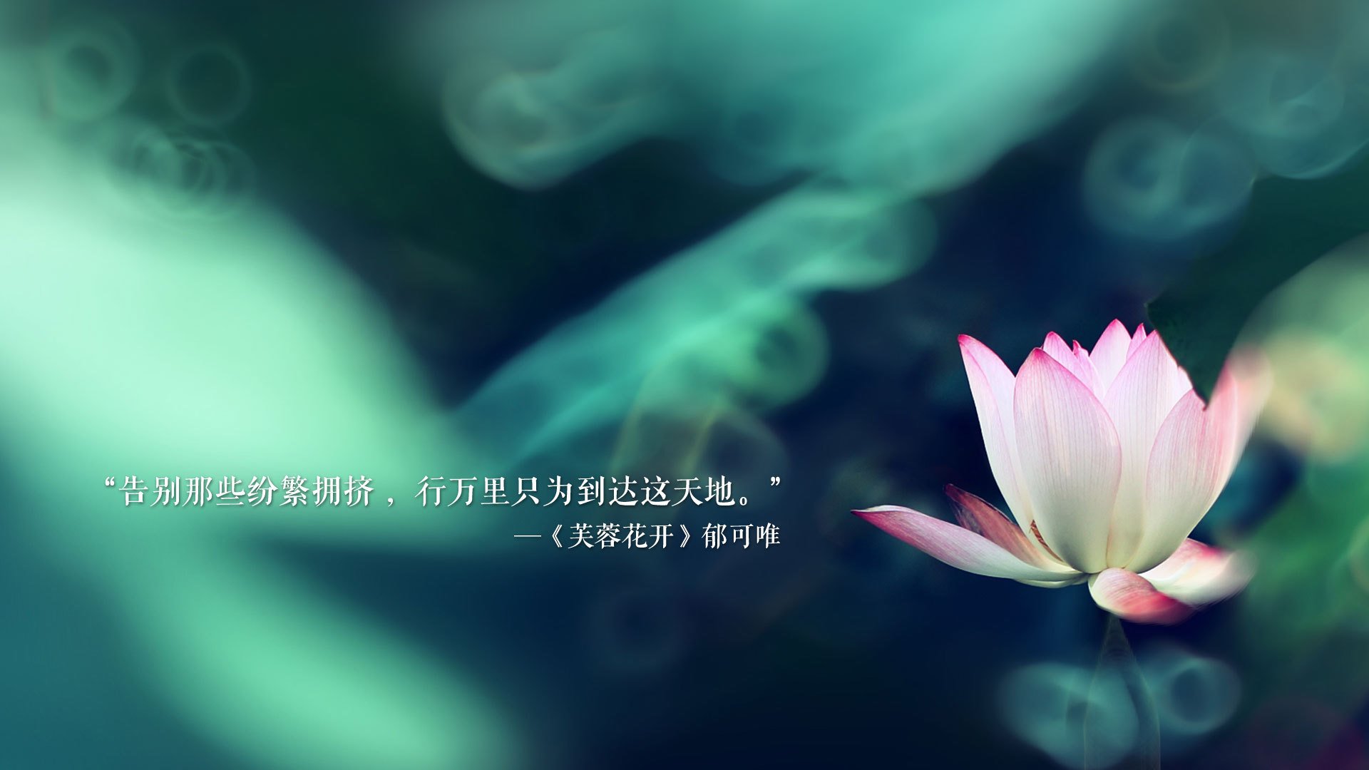 桑巴狂舞撕裂安第斯防线,丁丁魔法闪耀世界杯赛场—2026世界杯B组巴西碾压秘鲁战记
