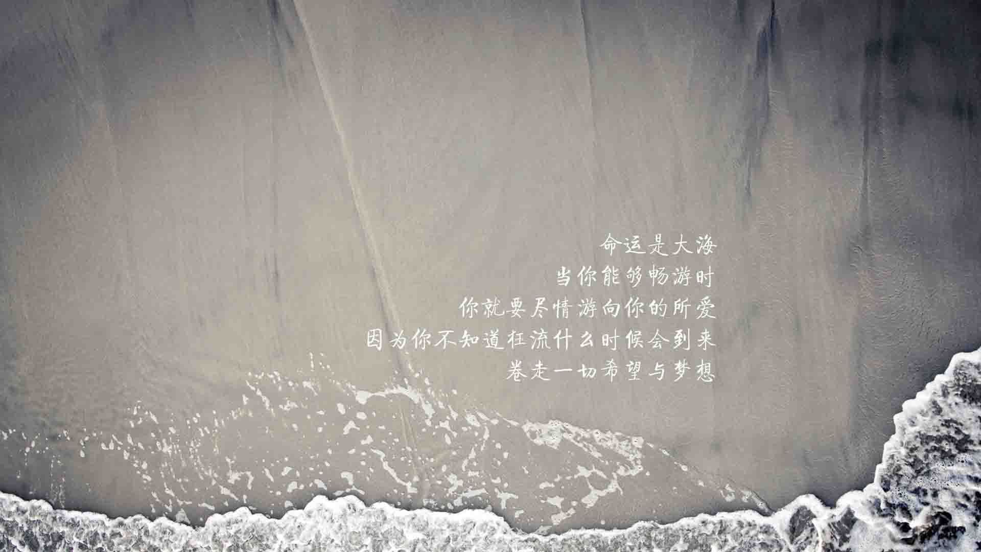 黑白直播在线观看-蓝衣逆袭，哥斯达黎加碾压乌拉圭，B费致命一击书写F组传奇